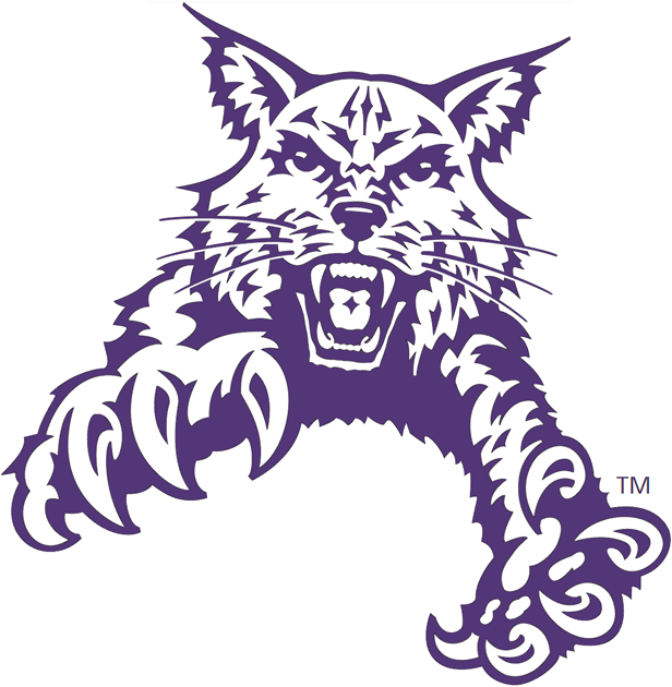 Abilene Christian Wildcats 1997-2012 Partial Logo t shirts iron on transfers v2